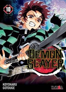Demon Slayer (Kimetsu no Yaiba) 10
