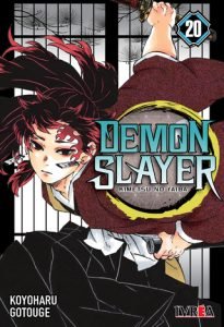 Demon Slayer (Kimetsu no Yaiba) 20