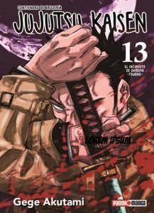 Jujutsu Kaisen 13