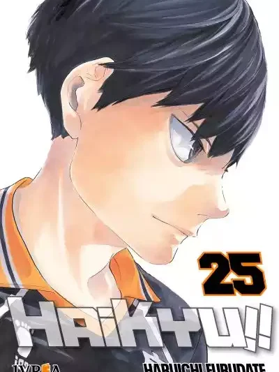 Haikyu!! 25