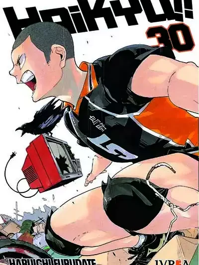 Haikyu!! 30