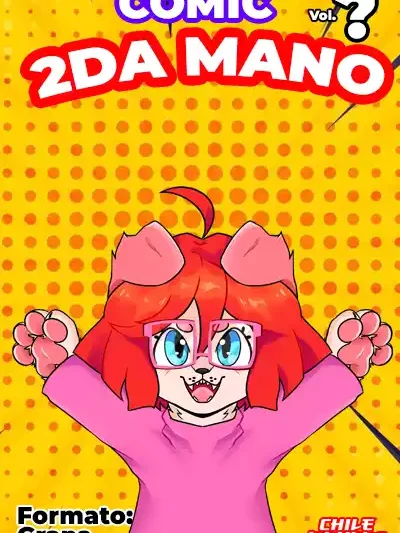 Cómic de Segunda Mano al Azar – Formato Grapa